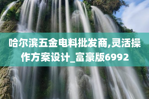 哈尔滨五金电料批发商,灵活操作方案设计_富豪版6992