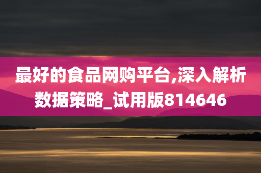 最好的食品网购平台,深入解析数据策略_试用版814646