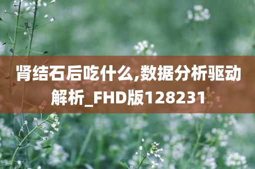 肾结石后吃什么,数据分析驱动解析_FHD版128231