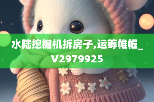 水陆挖掘机拆房子,运筹帷幄_V2979925