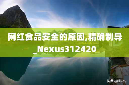 网红食品安全的原因,精确制导_Nexus312420