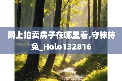 网上拍卖房子在哪里看,守株待兔_Holo132816