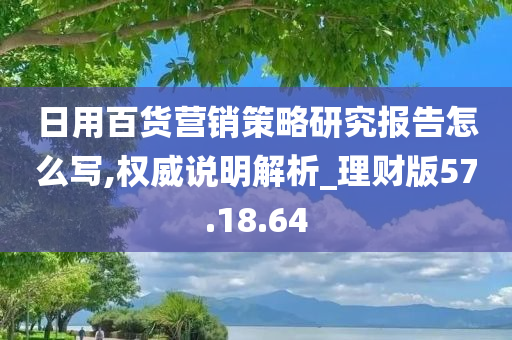 日用百货营销策略研究报告怎么写,权威说明解析_理财版57.18.64