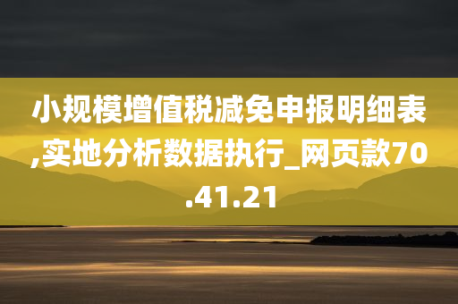 小规模增值税减免申报明细表,实地分析数据执行_网页款70.41.21