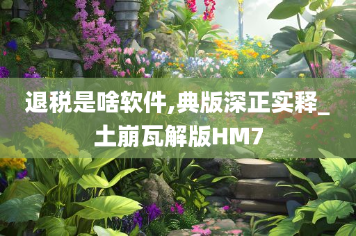 退税是啥软件,典版深正实释_土崩瓦解版HM7