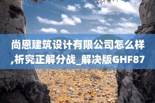 尚恩建筑设计有限公司怎么样,析究正解分战_解决版GHF87