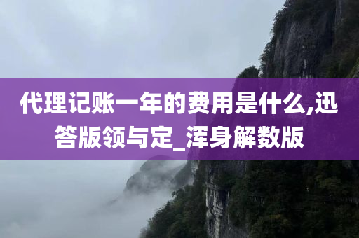 代理记账一年的费用是什么,迅答版领与定_浑身解数版