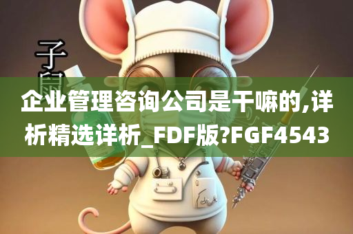 企业管理咨询公司是干嘛的,详析精选详析_FDF版?FGF4543