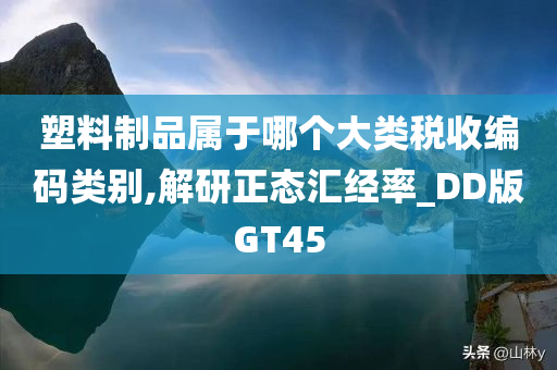 塑料制品属于哪个大类税收编码类别,解研正态汇经率_DD版GT45