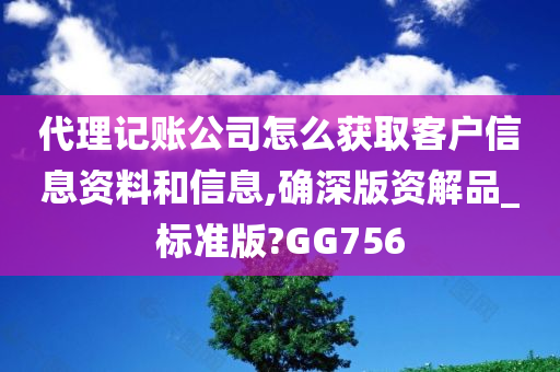 代理记账公司怎么获取客户信息资料和信息,确深版资解品_标准版?GG756