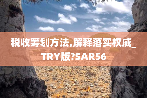 税收筹划方法,解释落实权威_TRY版?SAR56