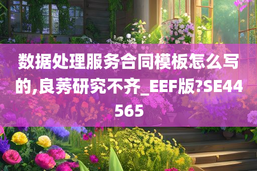 数据处理服务合同模板怎么写的,良莠研究不齐_EEF版?SE44565