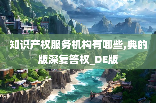 知识产权服务机构有哪些,典的版深复答权_DE版