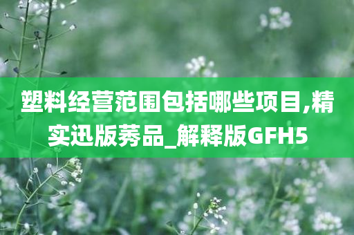 塑料经营范围包括哪些项目,精实迅版莠品_解释版GFH5