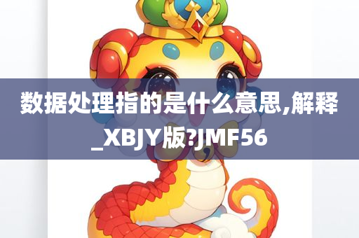 数据处理指的是什么意思,解释_XBJY版?JMF56