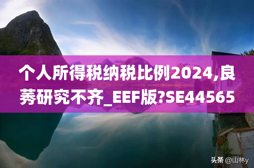 个人所得税纳税比例2024,良莠研究不齐_EEF版?SE44565