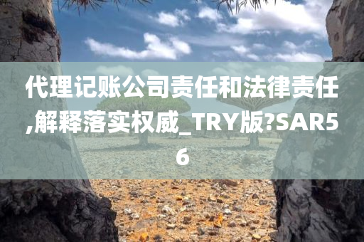 代理记账公司责任和法律责任,解释落实权威_TRY版?SAR56