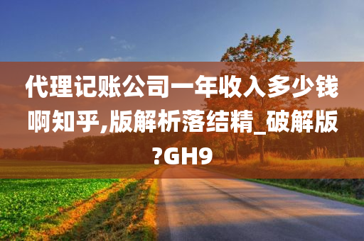 代理记账公司一年收入多少钱啊知乎,版解析落结精_破解版?GH9