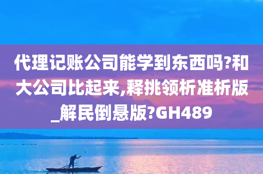 代理记账公司能学到东西吗?和大公司比起来,释挑领析准析版_解民倒悬版?GH489