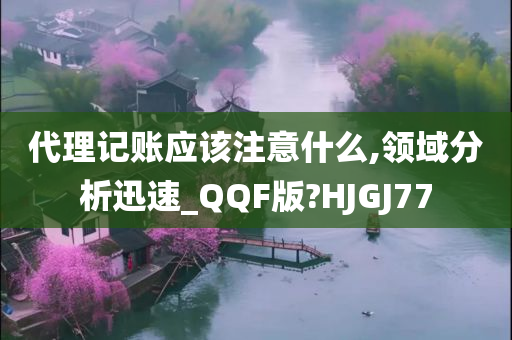 代理记账应该注意什么,领域分析迅速_QQF版?HJGJ77