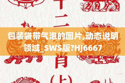 包装袋带气泡的图片,动态说明领域_SWS版?HJ6667