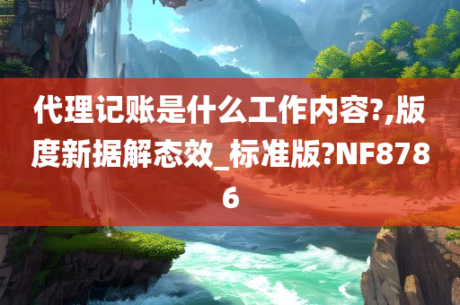 代理记账是什么工作内容?,版度新据解态效_标准版?NF8786