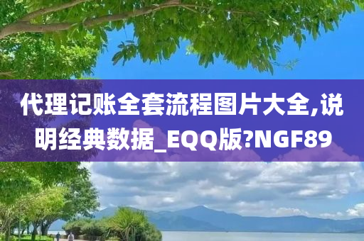 代理记账全套流程图片大全,说明经典数据_EQQ版?NGF89