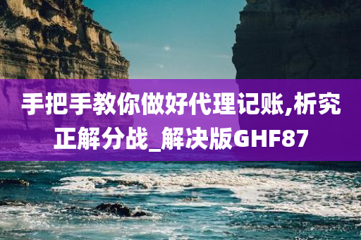 手把手教你做好代理记账,析究正解分战_解决版GHF87