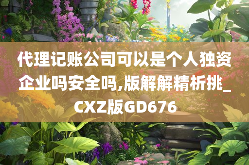 代理记账公司可以是个人独资企业吗安全吗,版解解精析挑_CXZ版GD676