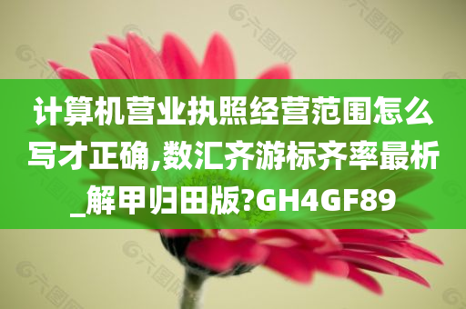 计算机营业执照经营范围怎么写才正确,数汇齐游标齐率最析_解甲归田版?GH4GF89