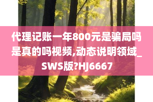 代理记账一年800元是骗局吗是真的吗视频,动态说明领域_SWS版?HJ6667