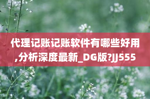 代理记账记账软件有哪些好用,分析深度最新_DG版?JJ555