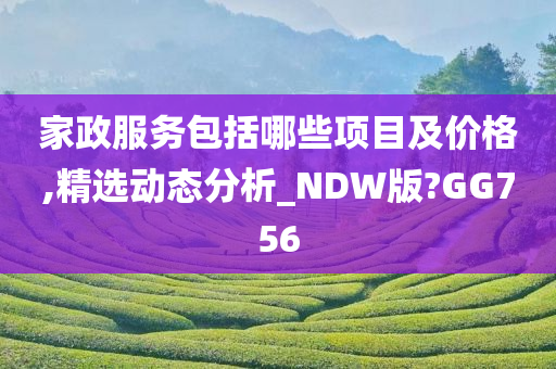 家政服务包括哪些项目及价格,精选动态分析_NDW版?GG756