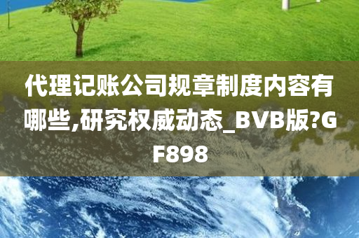 代理记账公司规章制度内容有哪些,研究权威动态_BVB版?GF898