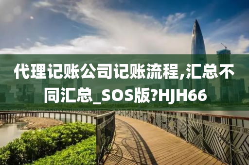 代理记账公司记账流程,汇总不同汇总_SOS版?HJH66