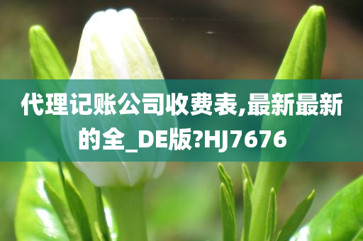 代理记账公司收费表,最新最新的全_DE版?HJ7676